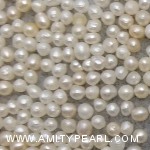 6420 potato pearl about 1.5-1.75mm.jpg